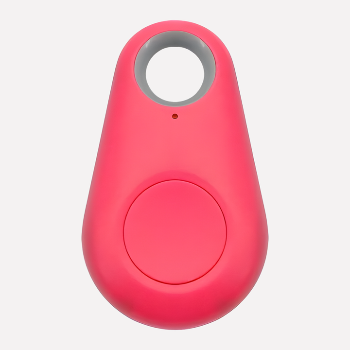 GPS Pet Tracker with Real-Time Location