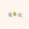Soft Pearl Earrings with a Subtle Shine