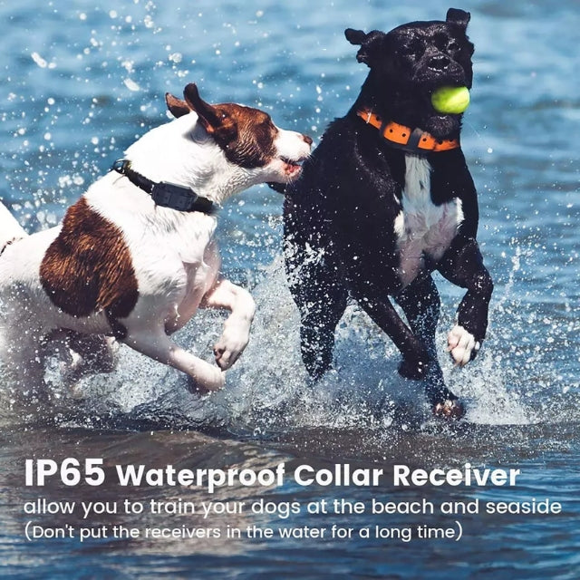 Electric Dog Training Collar – Safe, Effective Remote Control