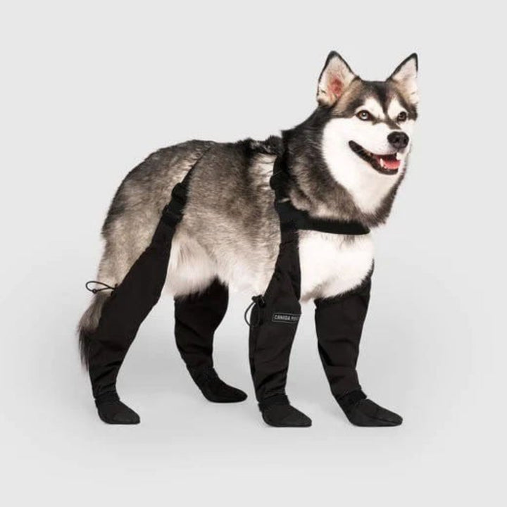 Durable Dog Boots for All Weather Protection – Waterproof Dog Shoes for Snow, Hiking, and Walking-1