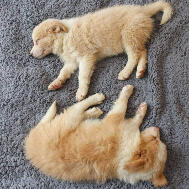 Soft Puppy Blankets - SnuggleFur Fleece