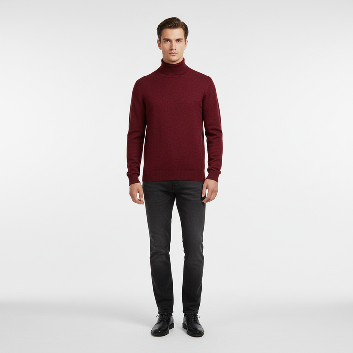 Elegantly Cut Turtlenecks - Harald