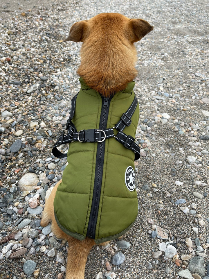 Reflective Dog Jacket with Built-In Harness, Windproof and Water-Repellent