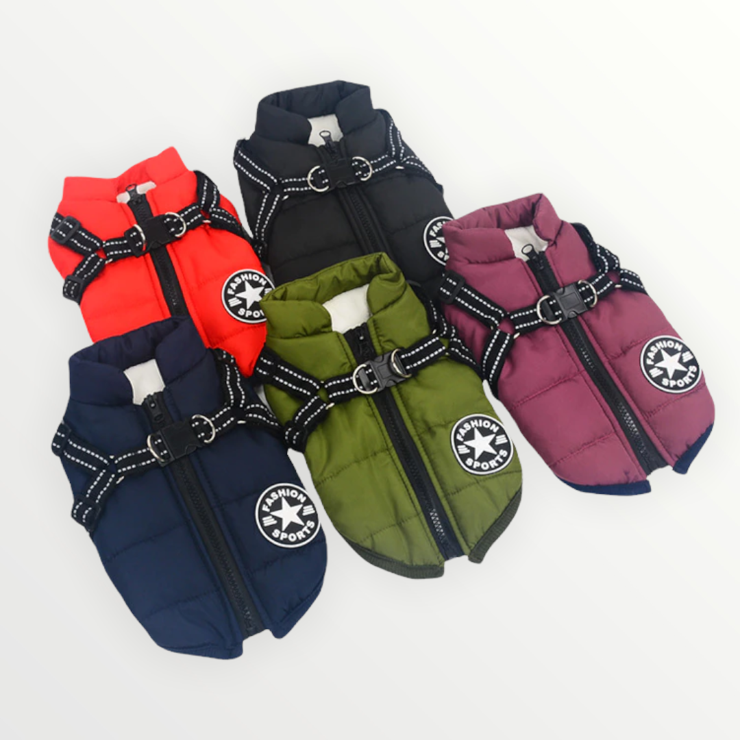 Reflective Dog Jacket with Built-In Harness, Windproof and Water-Repellent