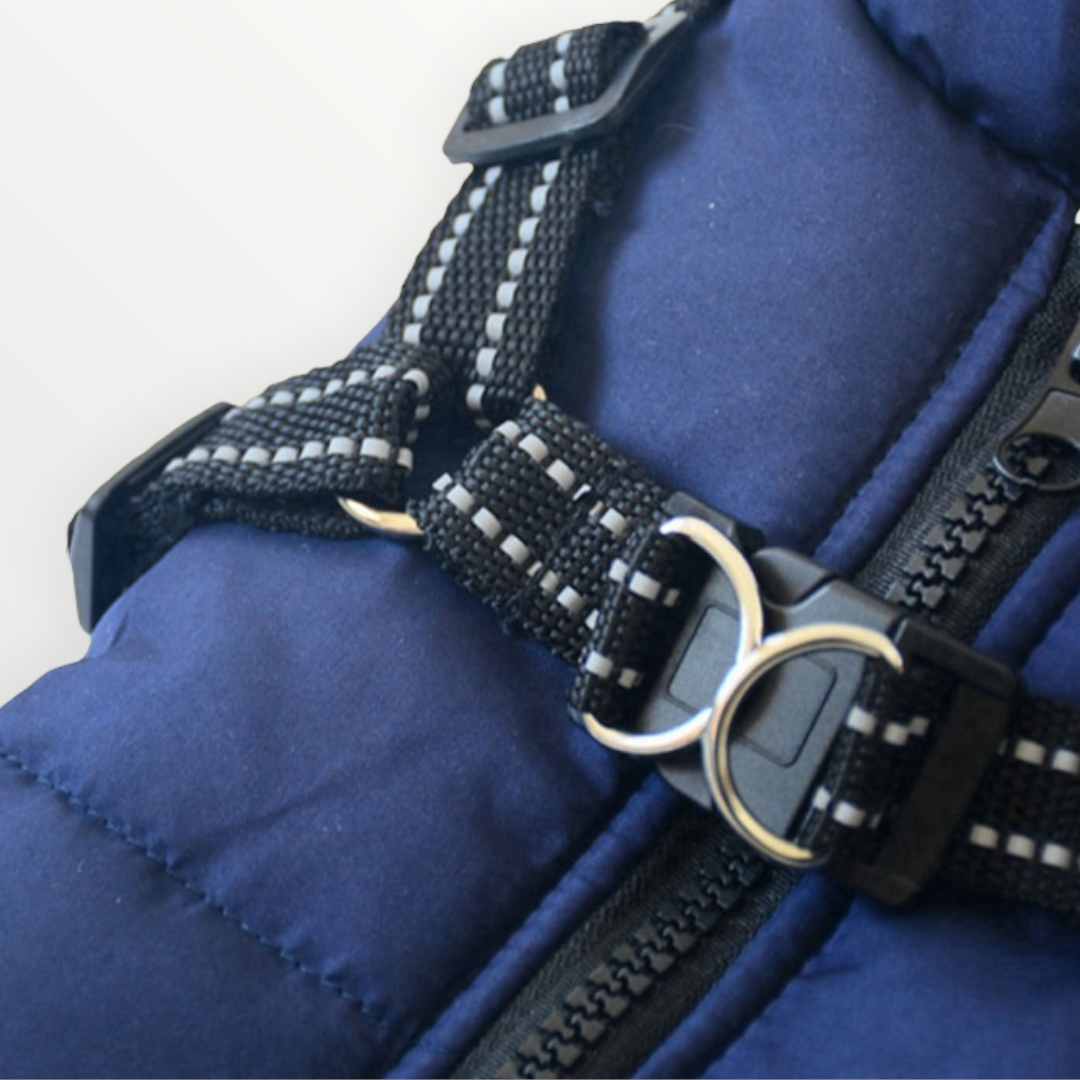 Reflective Dog Jacket with Built-In Harness, Windproof and Water-Repellent