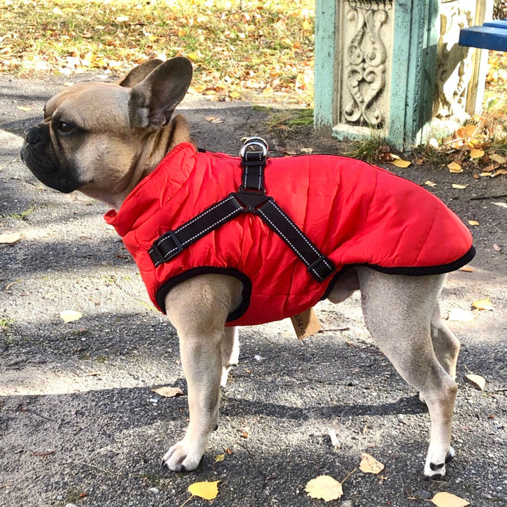 Reflective Dog Jacket with Built-In Harness, Windproof and Water-Repellent