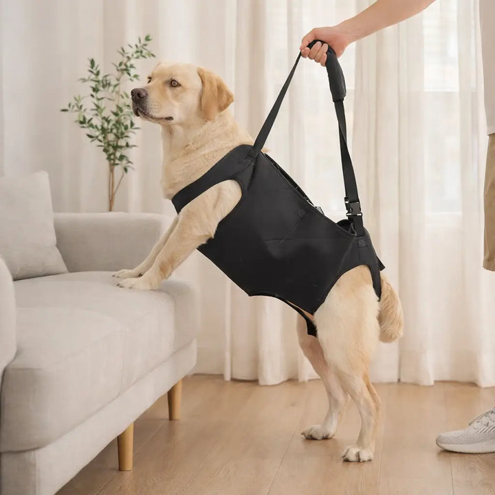 Dog Lift Harness | Support Sling for Large Dogs | Everyday Mobility Aid