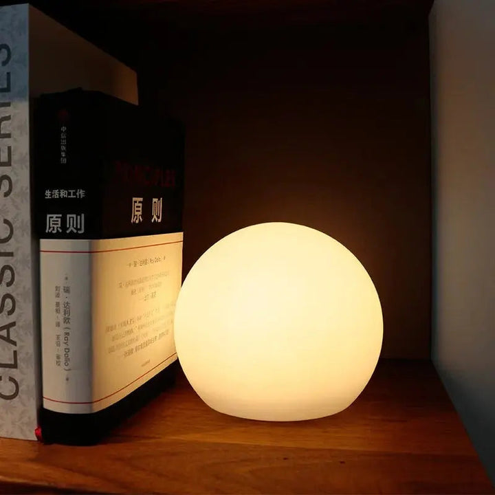 Rechargeable LED Globe Lamp with 16 Colors and Remote Control