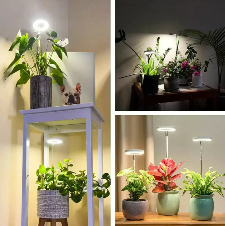 Full-spectrum LED grow light with timer and dimmer
