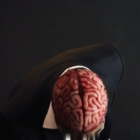 Realistic Skeleton Halloween Mask with Exposed Brain for Adults