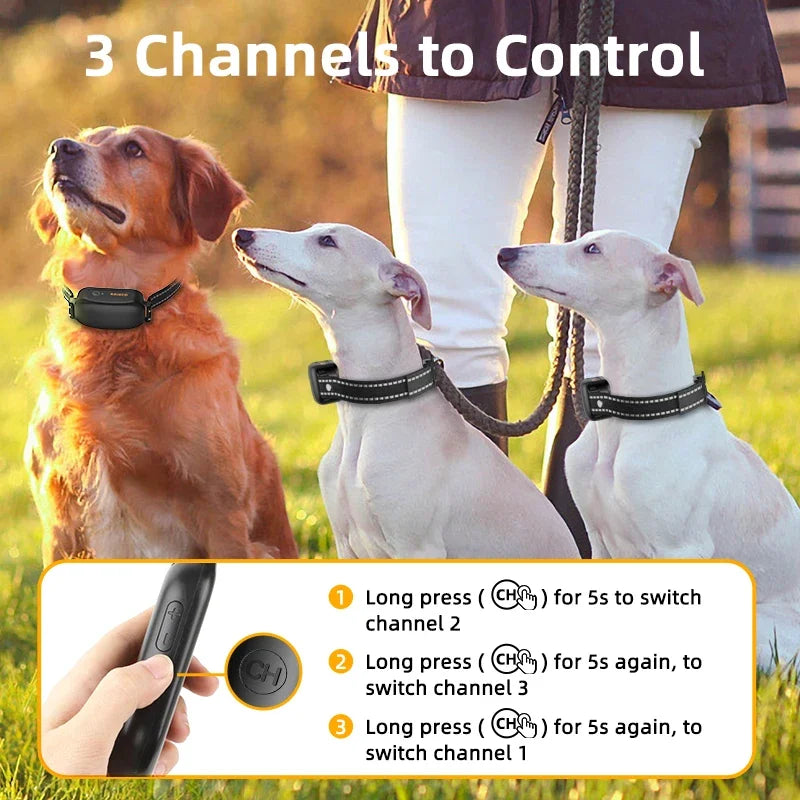 Electric Dog Training Collar with 3300 ft Range and Waterproof Design – PetTrainer