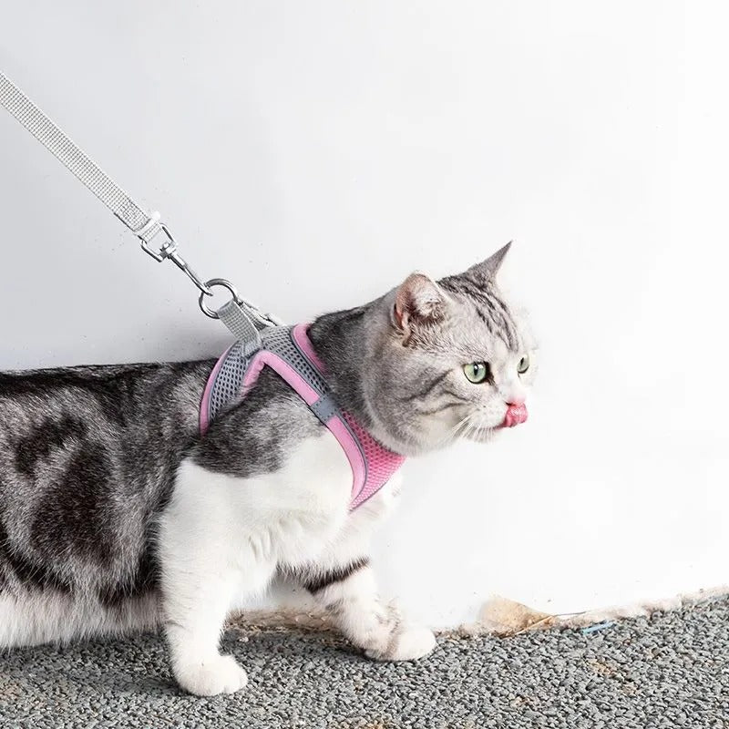 Adjustable Cat Harness with Leash – WhiskerWander
