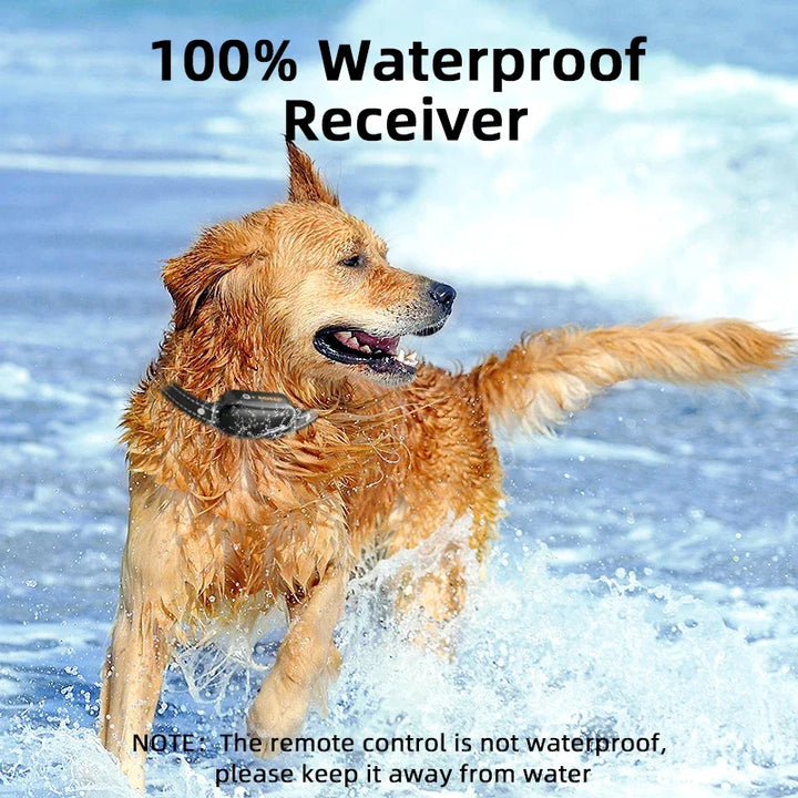 Electric Dog Training Collar with 3300 ft Range and Waterproof Design – PetTrainer