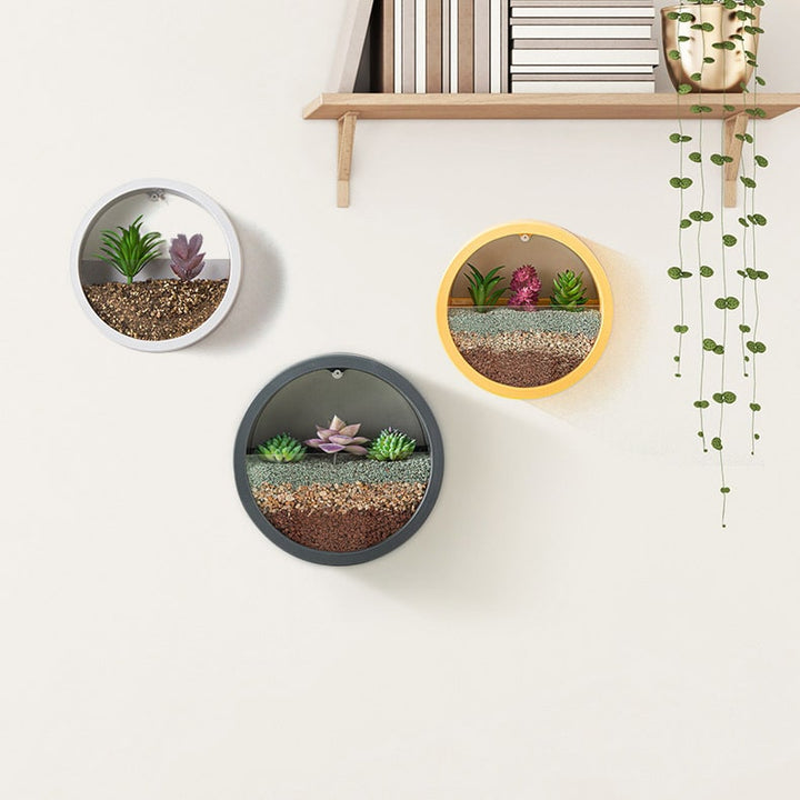 Hanging Wall Planter with Clear Front Panel for Succulents and Indoor Plants Vertical