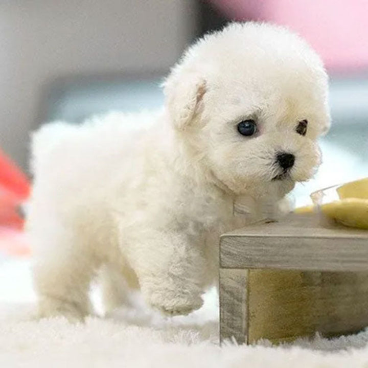 Children's Interactive Robotic Puppy for Lifelike Companionship