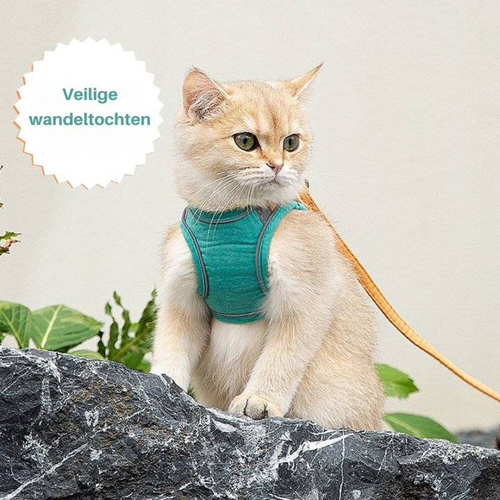 Cat Harness – Oscar