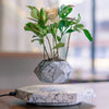 Levitating Plant Pot with Floating Marble Base and 360-Degree Rotation for Indoor Ceramic