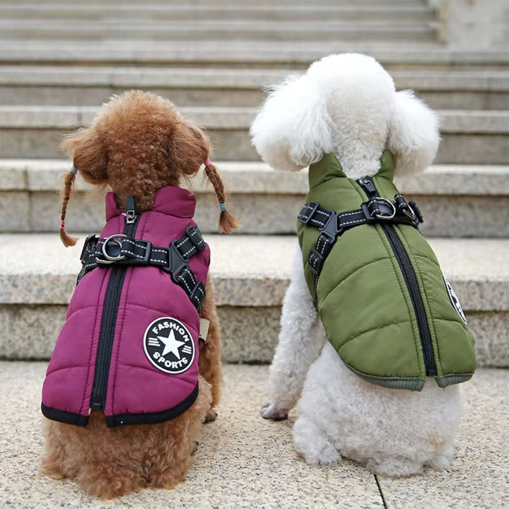 Winter Dog Coat with Built-In Harness, Padded and Lined