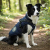 Winter Dog Coat with Built-In Harness, Padded and Lined