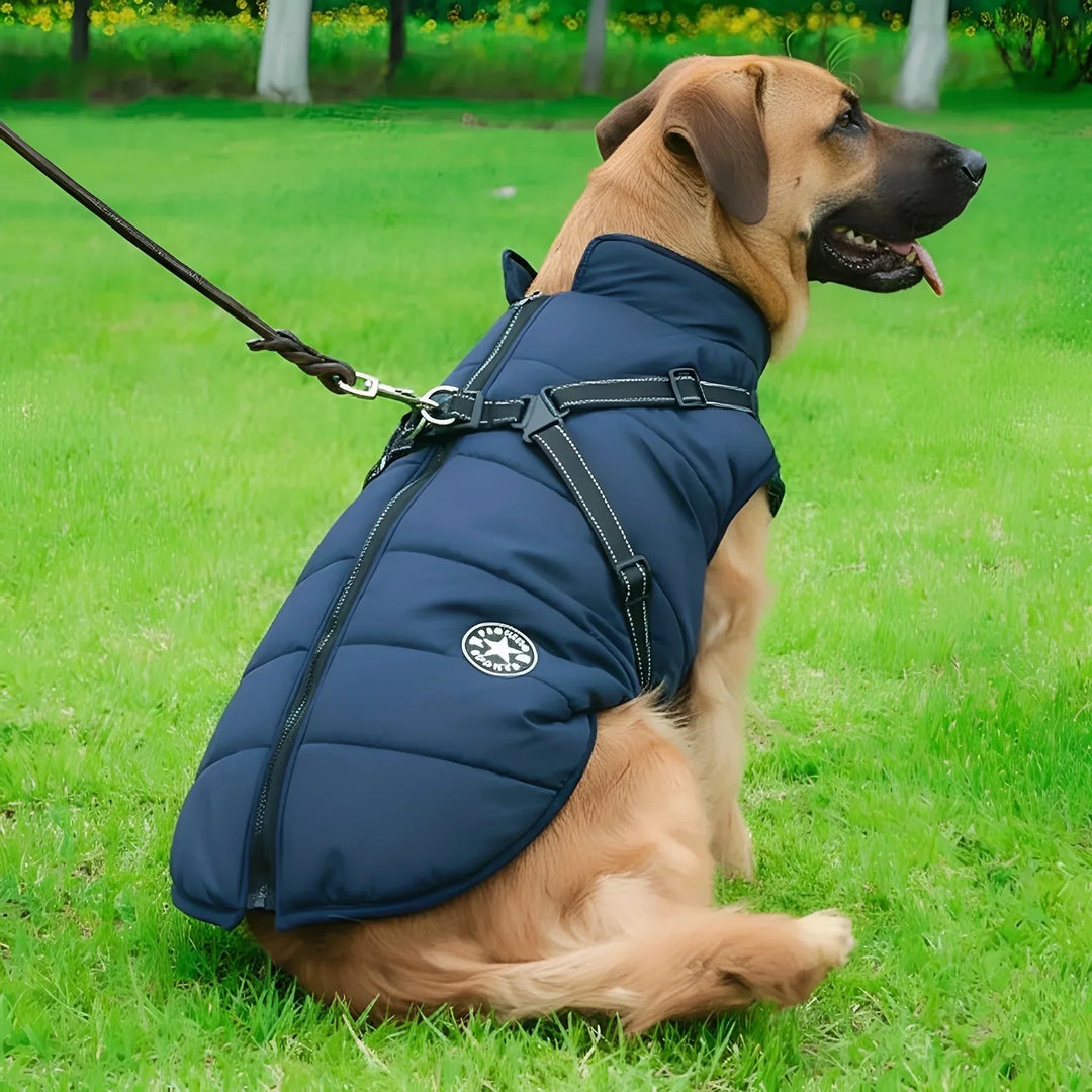 Winter Dog Coat with Built-In Harness, Padded and Lined