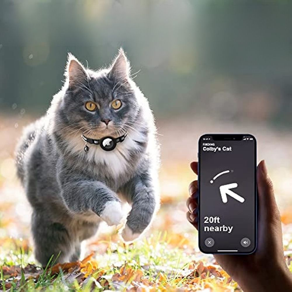 GPS Cat Collar with Reflective Design