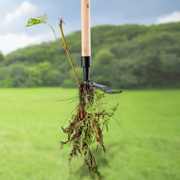 Manual Weed Removal Tool