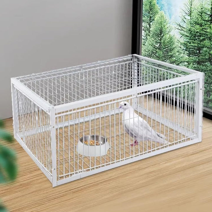 Gentle Bird Trap with Anti-Return Mechanism – BirdSafe Trap