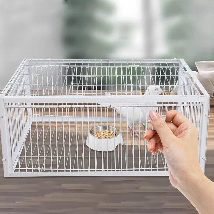 Gentle Bird Trap with Anti-Return Mechanism – BirdSafe Trap