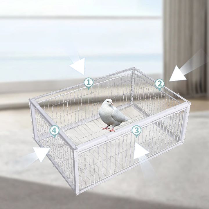 Gentle Bird Trap with Anti-Return Mechanism – BirdSafe Trap