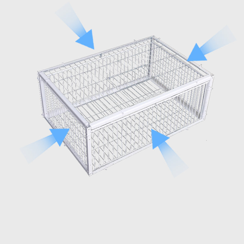 Gentle Bird Trap with Anti-Return Mechanism – BirdSafe Trap