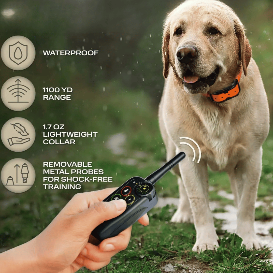 Waterproof Long-Range 1000m Dog Training Collar & Remote Control